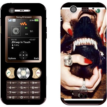 Sony Ericsson W890