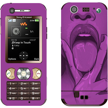   «»   Sony Ericsson W890