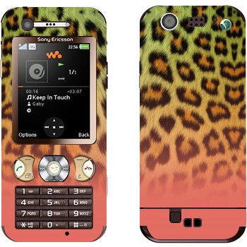 Sony Ericsson W890