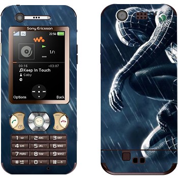 Sony Ericsson W890