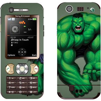   «»   Sony Ericsson W890