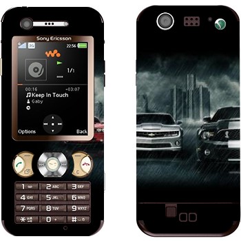 Sony Ericsson W890