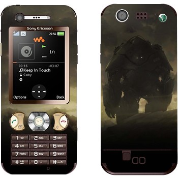   «  »   Sony Ericsson W890