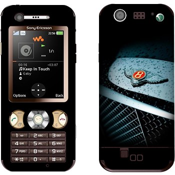 Sony Ericsson W890