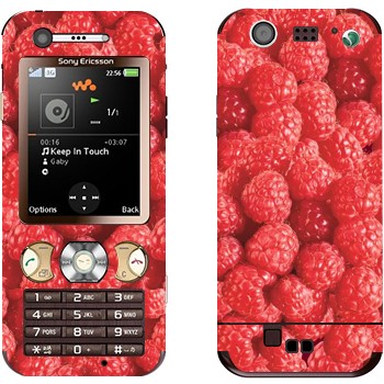   «»   Sony Ericsson W890