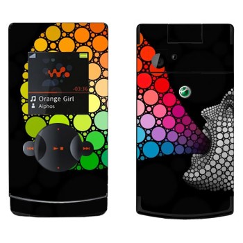 Sony Ericsson W980