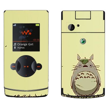 Sony Ericsson W980