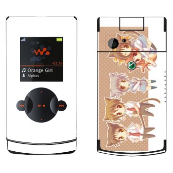 Sony Ericsson W980