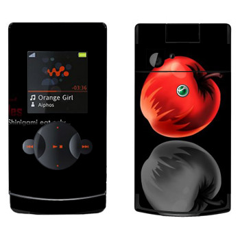   «  - »   Sony Ericsson W980