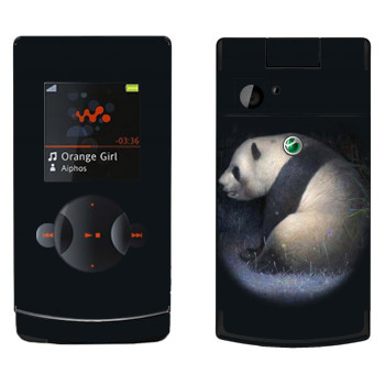 Sony Ericsson W980