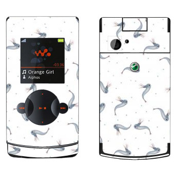   « - Kisung»   Sony Ericsson W980