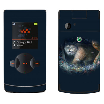   « - Kisung»   Sony Ericsson W980