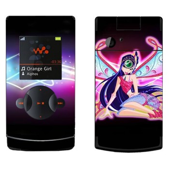   «  - WinX»   Sony Ericsson W980