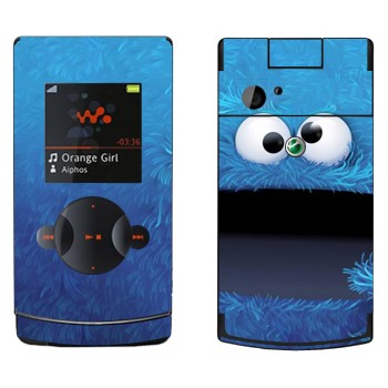 Sony Ericsson W980