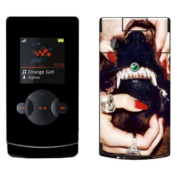 Sony Ericsson W980