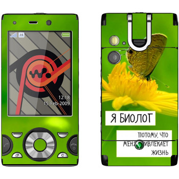   « »   Sony Ericsson W995