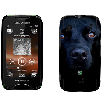   « »   Sony Ericsson WT13i Mix Walkman