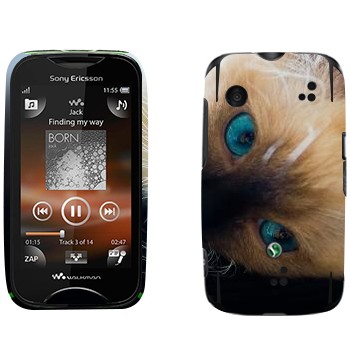   « »   Sony Ericsson WT13i Mix Walkman