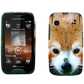   « »   Sony Ericsson WT13i Mix Walkman