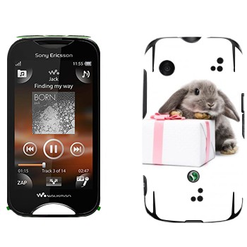   «  »   Sony Ericsson WT13i Mix Walkman