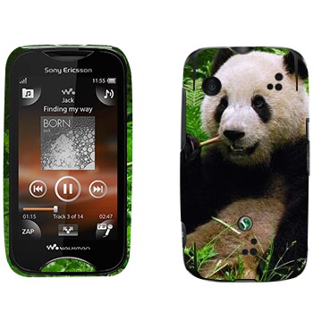   «  »   Sony Ericsson WT13i Mix Walkman