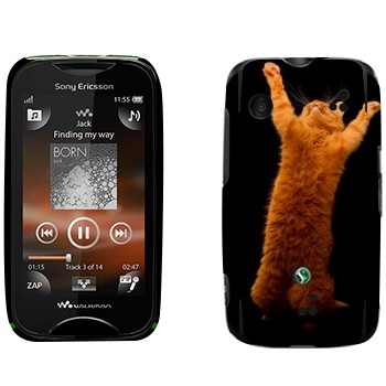   «     »   Sony Ericsson WT13i Mix Walkman