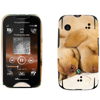   « »   Sony Ericsson WT13i Mix Walkman