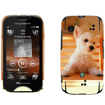   «  »   Sony Ericsson WT13i Mix Walkman