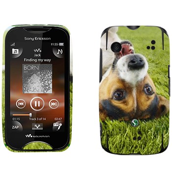   «   »   Sony Ericsson WT13i Mix Walkman