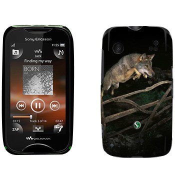  «  »   Sony Ericsson WT13i Mix Walkman