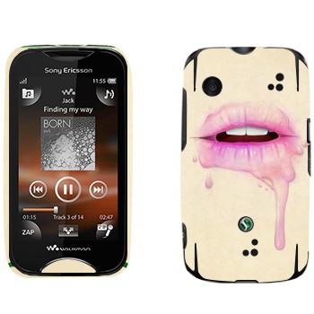   «  »   Sony Ericsson WT13i Mix Walkman