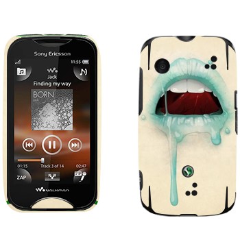   «»   Sony Ericsson WT13i Mix Walkman