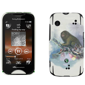   «   - Kisung»   Sony Ericsson WT13i Mix Walkman
