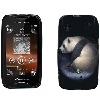   «»   Sony Ericsson WT13i Mix Walkman