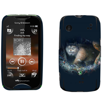   « - Kisung»   Sony Ericsson WT13i Mix Walkman