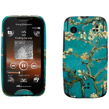   «   -   »   Sony Ericsson WT13i Mix Walkman