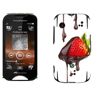   «  »   Sony Ericsson WT13i Mix Walkman