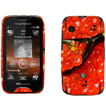 Sony Ericsson WT13i Mix Walkman