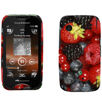   «»   Sony Ericsson WT13i Mix Walkman