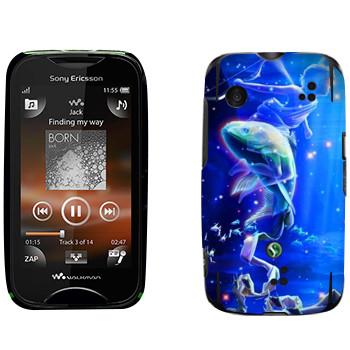   «  »   Sony Ericsson WT13i Mix Walkman