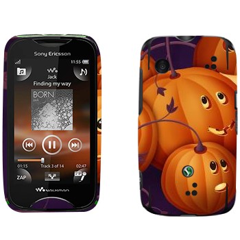   «  - »   Sony Ericsson WT13i Mix Walkman