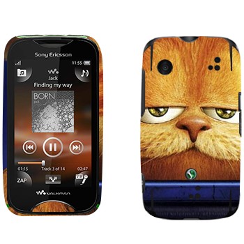   « 3D»   Sony Ericsson WT13i Mix Walkman