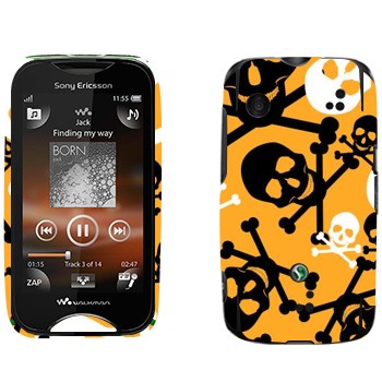   «-     »   Sony Ericsson WT13i Mix Walkman