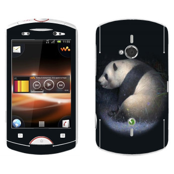   «»   Sony Ericsson WT19i Live With Walkman