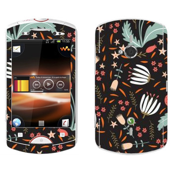   «  Anna Deegan»   Sony Ericsson WT19i Live With Walkman