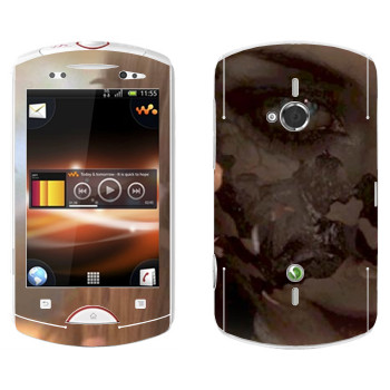   «Neverwinter Flame»   Sony Ericsson WT19i Live With Walkman