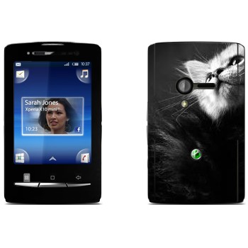   « -»   Sony Ericsson X10 Xperia Mini