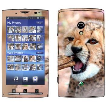 Sony Ericsson X10 Xperia