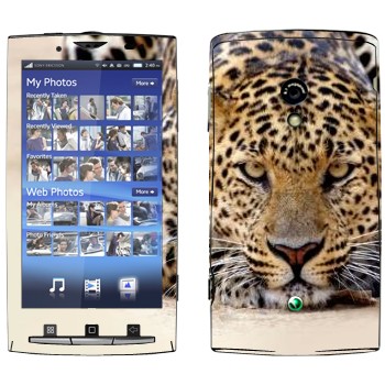 Sony Ericsson X10 Xperia