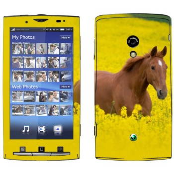   «  »   Sony Ericsson X10 Xperia